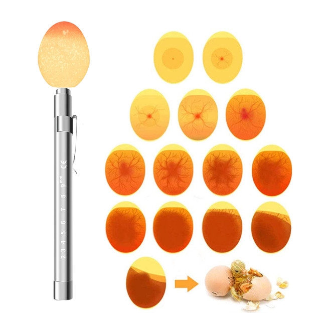 1Pc Egg Candler Tester Incubator Eggtester Egg Candling Lamp LED